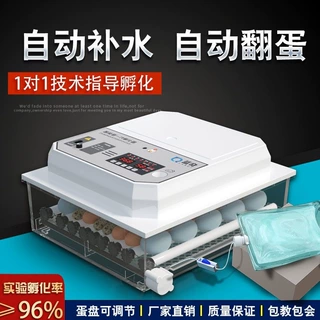 家用小型全自动孵化器鸡蛋孵化机孵蛋器抱鸡机器实用批发一件起批