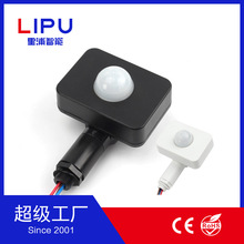 ���� �������w�t��Б���   �����  ����_�P LIPU SENSOR