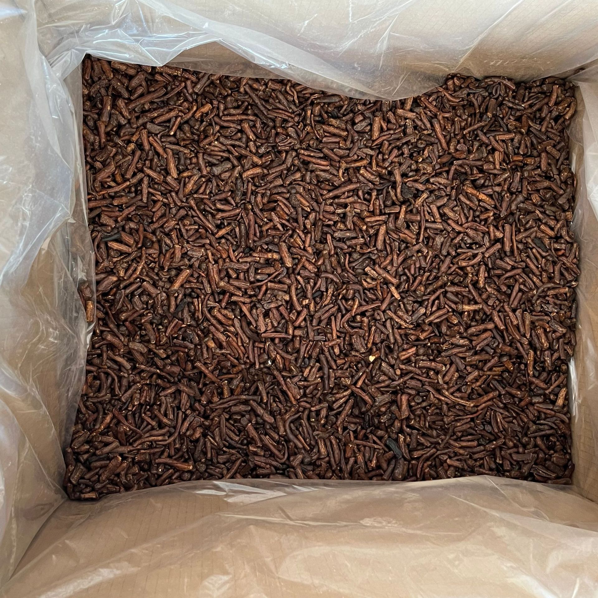 Dandelion Root (Taraxacum officinale) — Roasted Changbai Mountain Pugongying Gen Tea, 500g in use