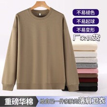 2025���ﱬ���ذ�Բ�������˳����������� �߼����ưٴ�����