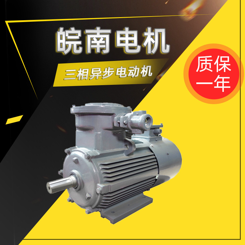 Anhui Wannan Motor Ybbp Series Explosion-Proof Variable Frequency Speed Regulating Three-Phase Asynchronous Motor Distributor