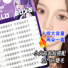 ʮ�Ŵ�����͸����С�����½�ë���������ֶַ�ʽ�δط���