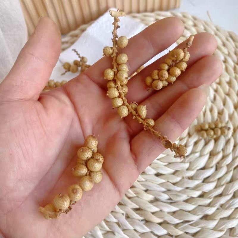 Una pequeña rama de la fruta de serpiente
