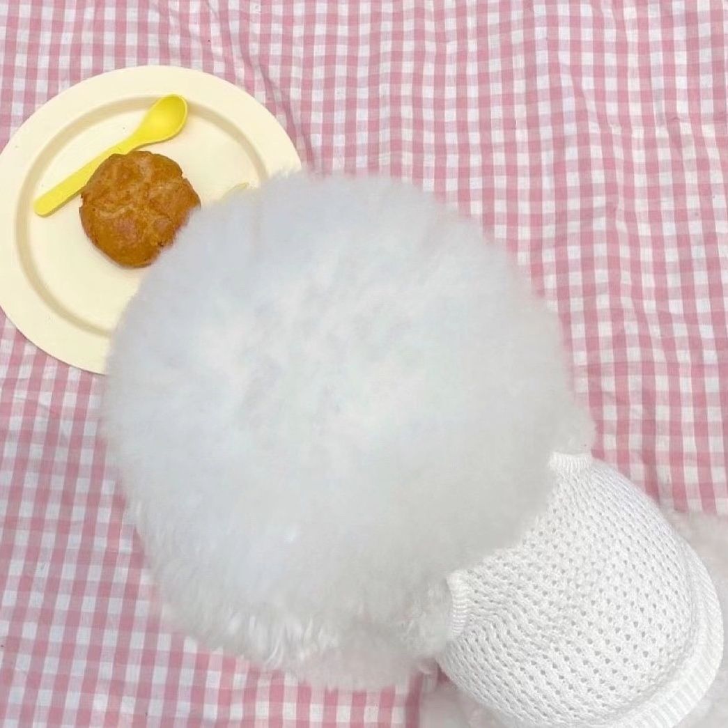 Šnaucer Kućni ljubimac Malo štene Pomeranac Ljetna pletena naramenica Štene Tanka odjeća Teddy Bichon