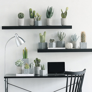 Nordic Creative Fleshy Cactus Simulation Plant Pot Ornaments Fake Green Plant Indoor Home Flower Decoration