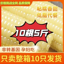 ��Ŵ�������r�Fժ�|����Ŵ����ܛ�����ճ���װ���հ��b10��