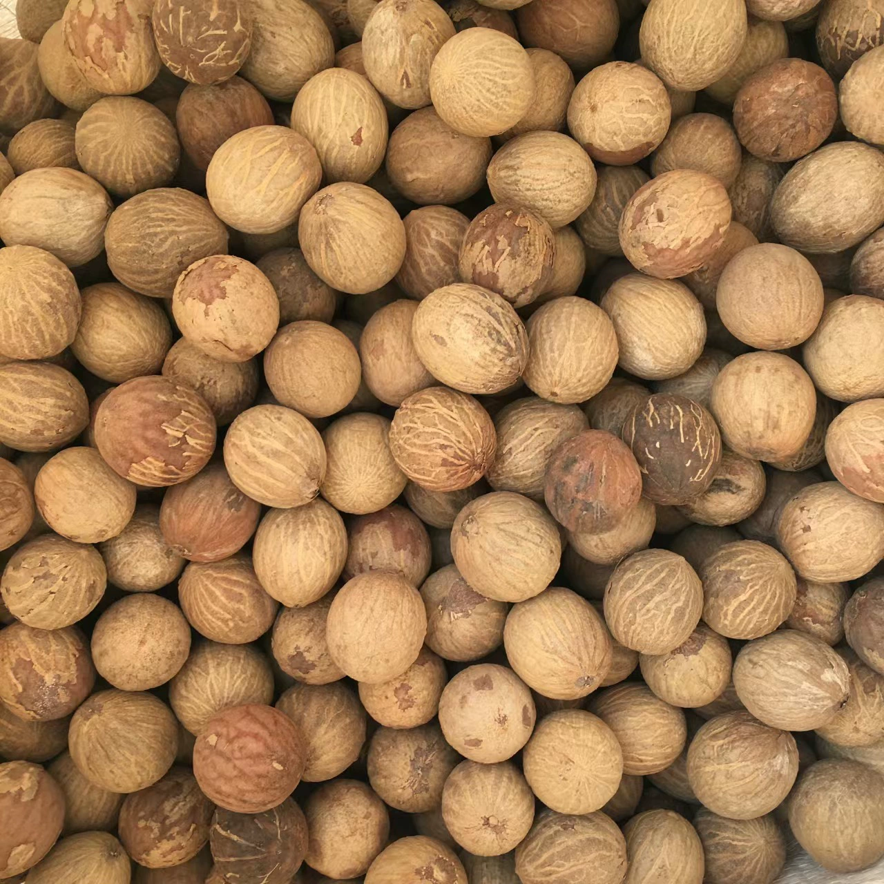 Сырье Бодхи Авто Подушка Бодхи и Оптовая продажа Бусин Ювелирный материал Бодхи Материал Белый Нефрит Бодхи Сырье