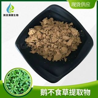 鹅不食草提取物 10:1/30:1/50:1 食胡荽/鹅不食提取物 鹅不食草粉