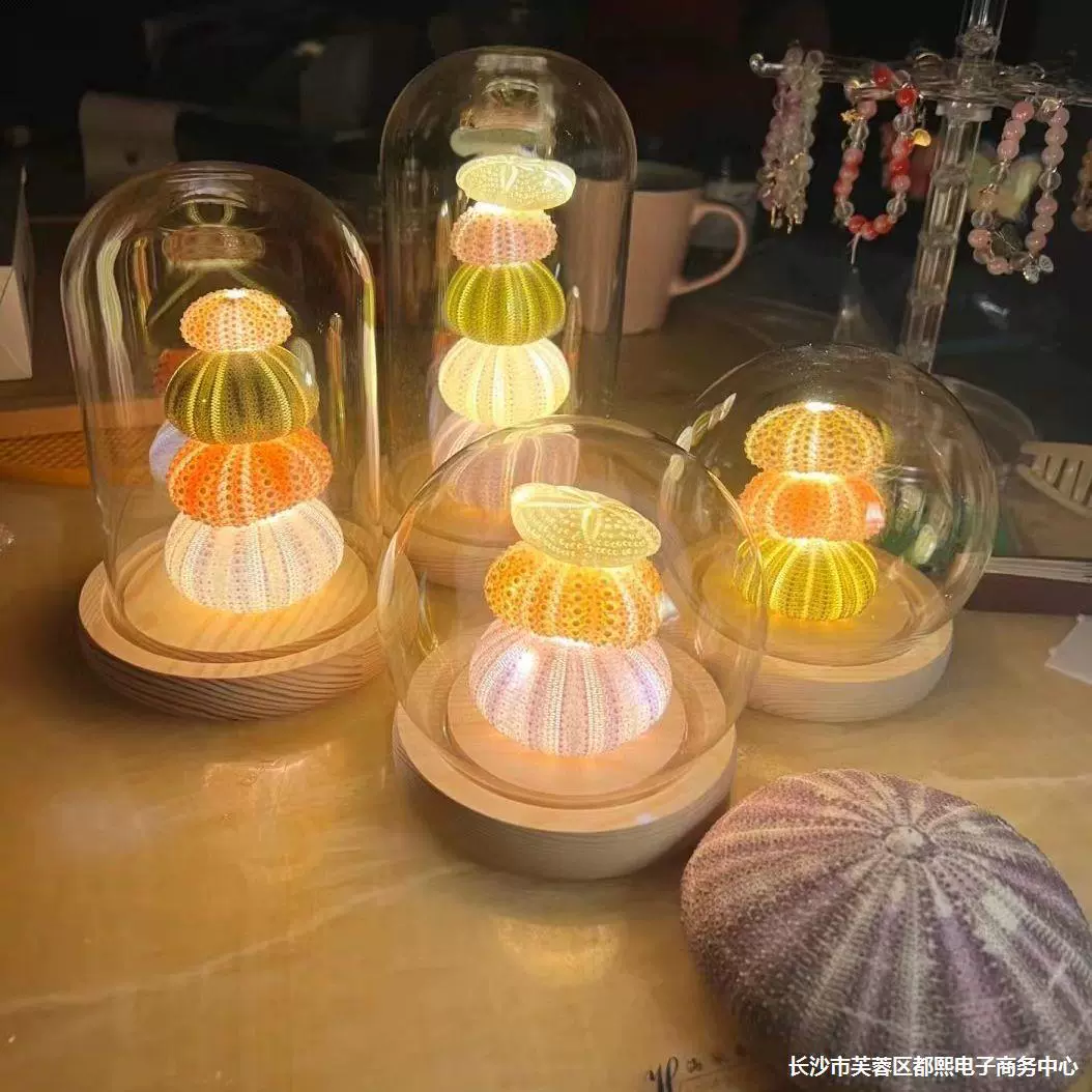 Оболочка морского ежа маленький ночник diy светящийся материал пакет ретро раковина морской ежа ночной свет DIY