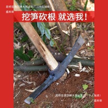 �ֹ�呴���z�ڹS�����z�^�ڵض๦���ڶ��S�����z������һ�w�Ѵ�