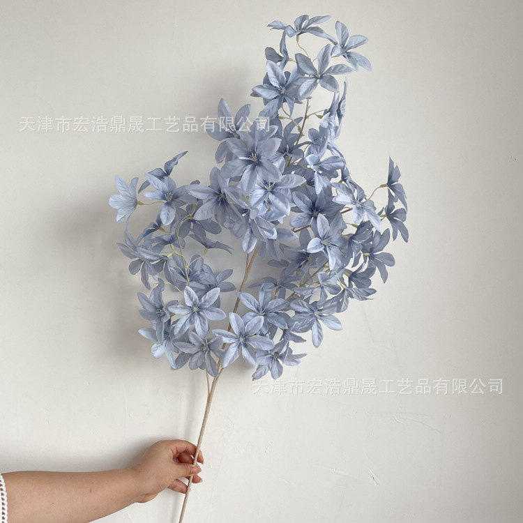 微信图片_202208191624363_副本