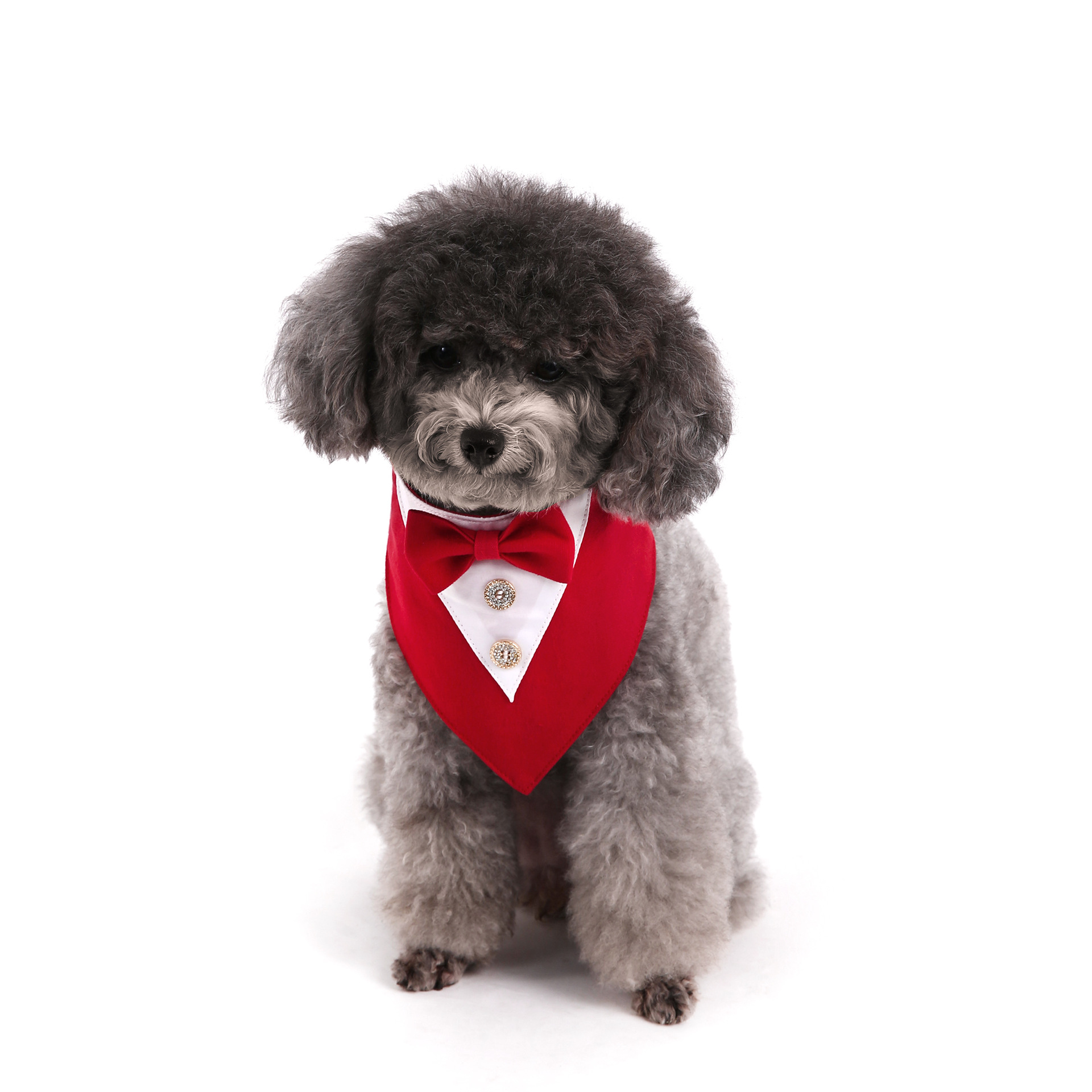 Navidad Año Nuevo Spot transfronterizo boda británica trajes toallas para mascotas bufandas perros velcro toallas para mascotas triángulos