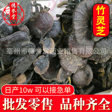 ������`֥ �`֥ ���`֥���u��ș�I���l���N��ș�����`֥����r��