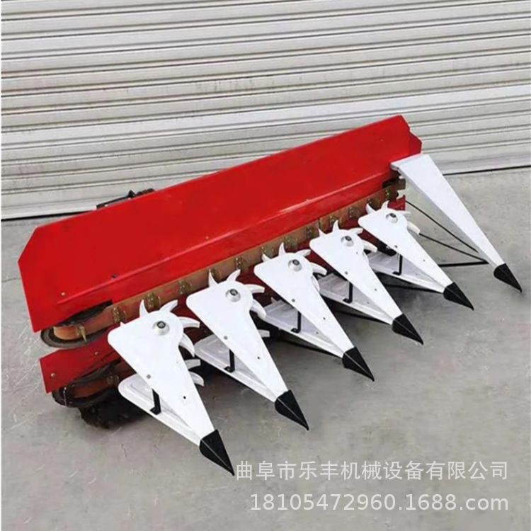 微信图片_20250218130535_副本