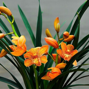 ������ �m�����҃������m������ī�m���m �����m���ļ��_��