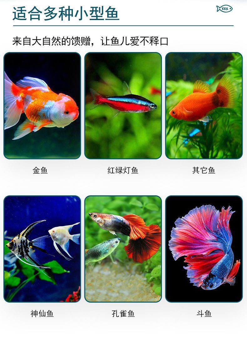 6e4396ce-8868-4a51-9fa4-d3371d16661c.jpe