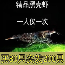 ��̖�ښ��r����ښ��r���坍�r���~��ϳ����r�^�p�r�����r�r