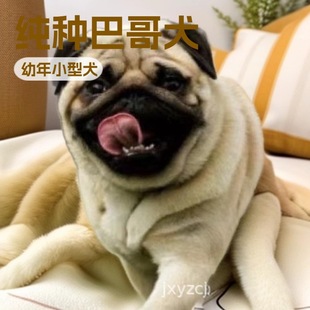 ���ư͸�Ȯ��Ȯ���w����С�͹��͹����pȮ��ͥ��HȮ���ﹷ������