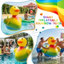 �羳����ʺ�ѼPVC����С��Ѽװ��Ʒ �������յ����ɶԳ�������