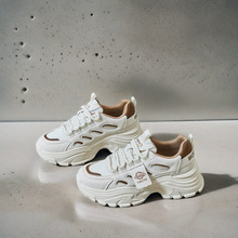 2025ŮЬ\ܲeЬWinsnϵЬŮT73