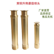 �S�� ȫ�~����Ģ�����^����Ȫһ��һ���ɴ燊Ȫ������Ȫ���^