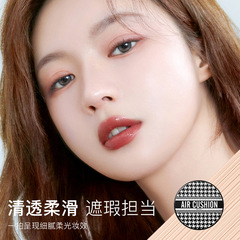 Lightweight Concealing Cushion BB Cream Foundation Powder Migratory Bird Pattern Cushion Case, dropshipping wholesale one piece