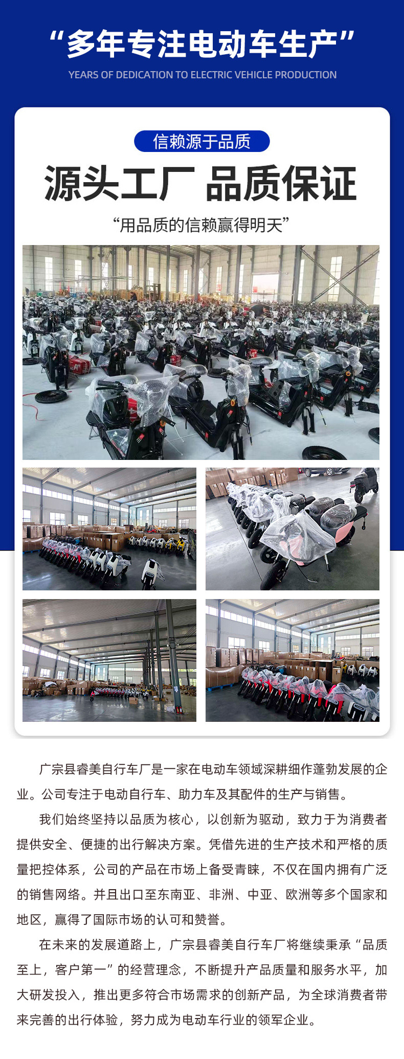 Cross-Border Manufacturer Brazil Russia Model New Lithium Battery Harley Electric Vehicle Two-Wheeled Adult Electric Motorcycle 60V20A
