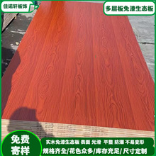 ���B����Ӱ������谷�������Ƶ��b�޼��b�����{�����ľľ�y