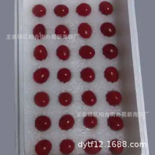 Factory-Supplied Cherry Loss Prevention Sponge Packaging/Cherry Loss Prevention Sponge Lining/Cherry Loss Prevention Sponge Inner Tray