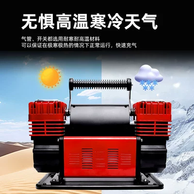air pump double cylinder high: Hava nasosu