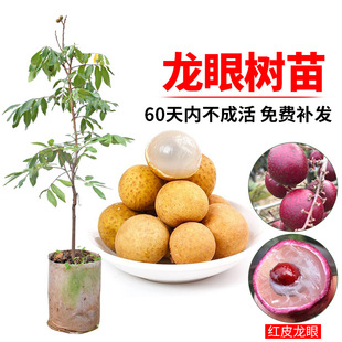 ����������ļ�������ʯ���޽ӹ��A�������V���Ϸ�����Y������