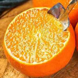 四川青见果冻橙当季橙子 一件代发 新鲜水果手剥橙冰糖橙爆甜榨汁