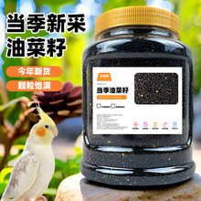 鹦鹉鸟粮饲料鸟食油菜籽种子虎皮牡丹文鸟芙蓉玉鸟零食喂鸟小鸟食