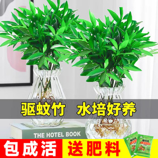 ������ˮ��ֲ���҃�ˮ�B�Gֲ���������k���������ļ�����ݺ��B