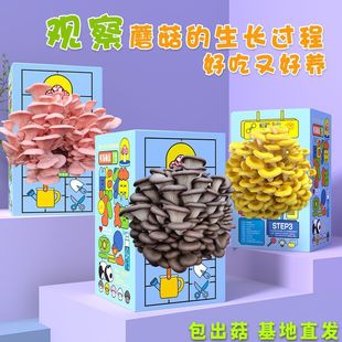 Ģ�����ӶY��ƽ��Ģ���Nֲ��ʳ�þ�����NĢ���Bֳ���b���b�Y��