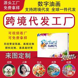 跨境diy数字油画照片填色画自定义图片油彩画厂家一件代发装饰画