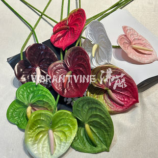 ӹƷQָмtƻcbٻՔzӰ߻ķ滨