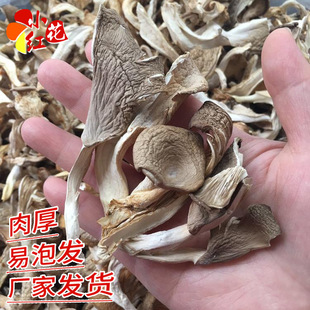 �S�Ұl؛��؛ƽ�� ƽ���l��؛�Pβ���漧���U�~��ɢ�b�������l