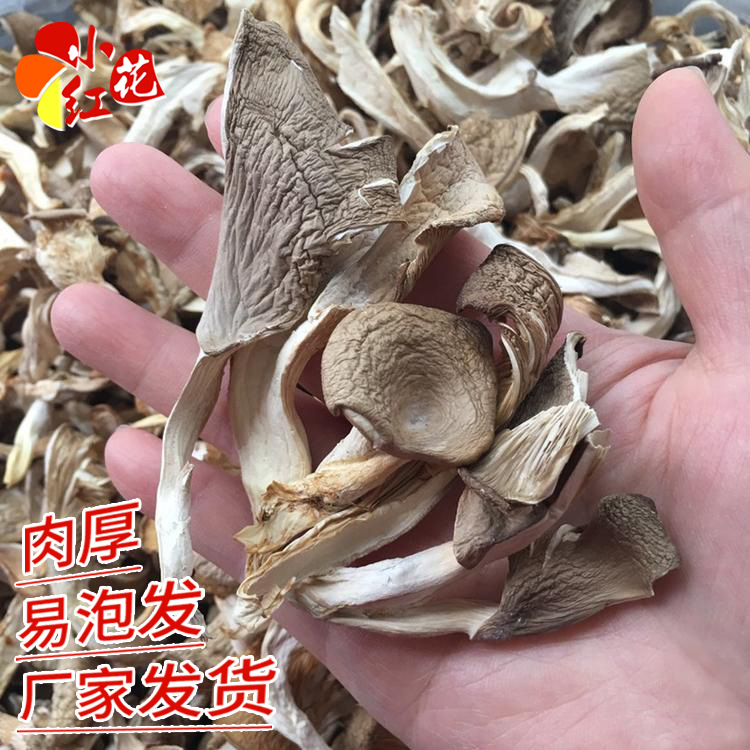 厂家发货干货平菇 平菇条新货凤尾菇真姬菇鲍鱼菇散装大量批发