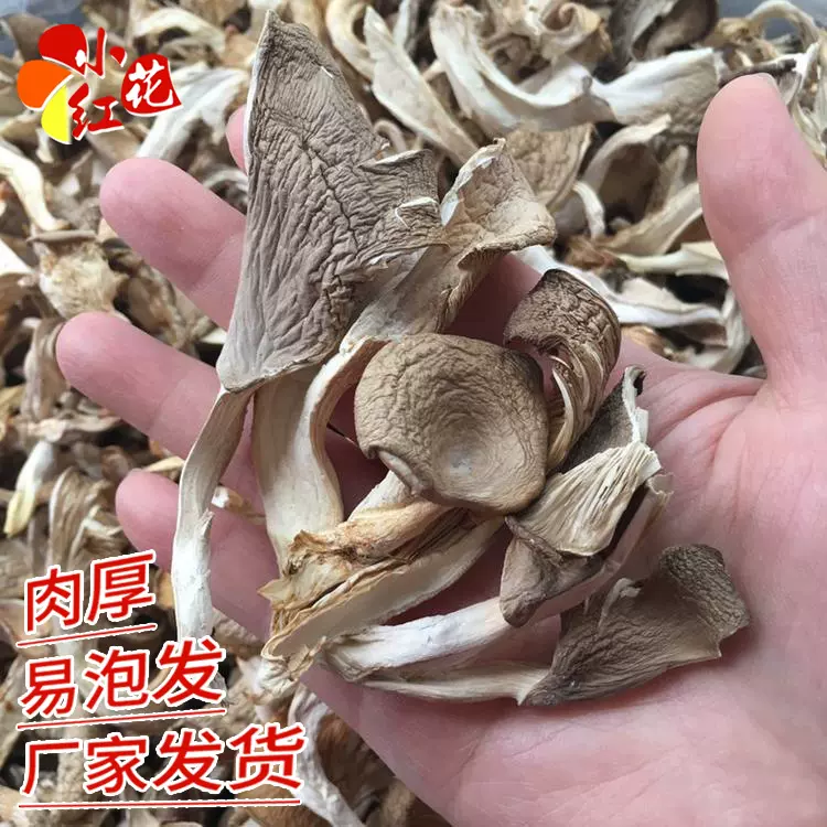 厂家发货干货平菇 平菇条新货凤尾菇真姬菇鲍鱼菇散装大量批发