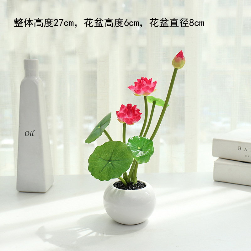 JH4565 Lotos rosados en maceta ☆