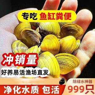 �����~ʺ�S���S��С�Ӱ�͘������ˮ�|�^�p���r����ؐ������w�坍