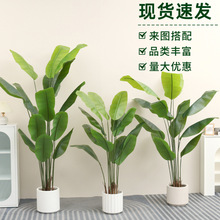北欧风仿真绿植仿真旅人蕉细杆大叶片高端落地盆栽仿真植物造景