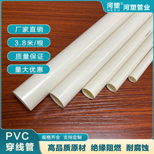 PVCȼ^Ϲ늹20b늾߾ܴܴ׹