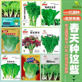 花盆容器;蔬菜种子;土壤检测仪器