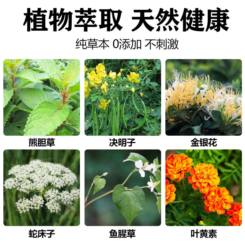 日本東田叶黄素熊胆明目滴眼液眼疲劳视力模糊干涩眼药滴水眼干|undefined