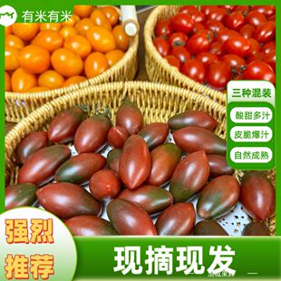 �Բ���ɫ���bС���ѷ������r���ЋD�}Ůˮ��С���t���Fժ����ˮ��
