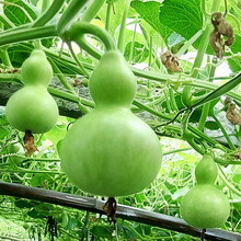 �S�����lС�����J�N�Ӂ������J�N������С���J���^�p������J�N��