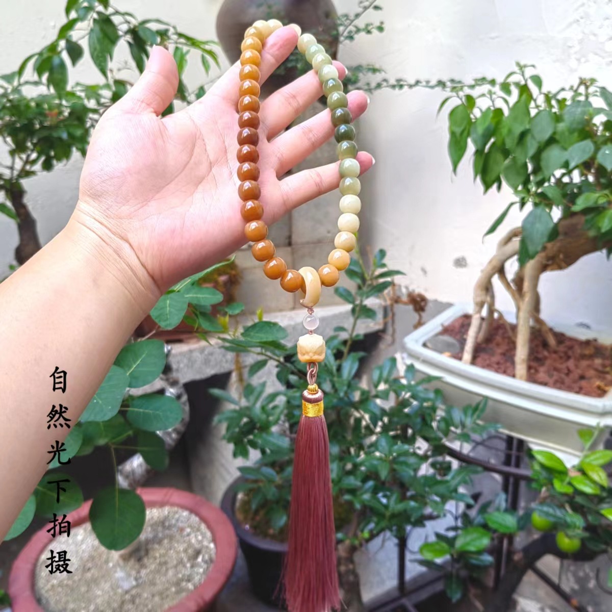 10x11mm 버마어 소재 그라데이션 + 라이온 댄스