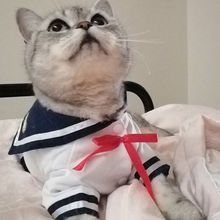 猫衣服夏装裙子猫咪狗狗可爱衬衫裙子薄款宠物制服裙水手服狗衣服